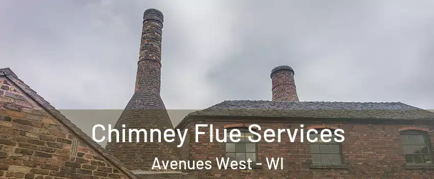 Chimney Flue Services Avenues West - WI