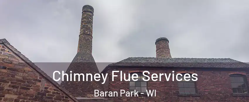 Chimney Flue Services Baran Park - WI