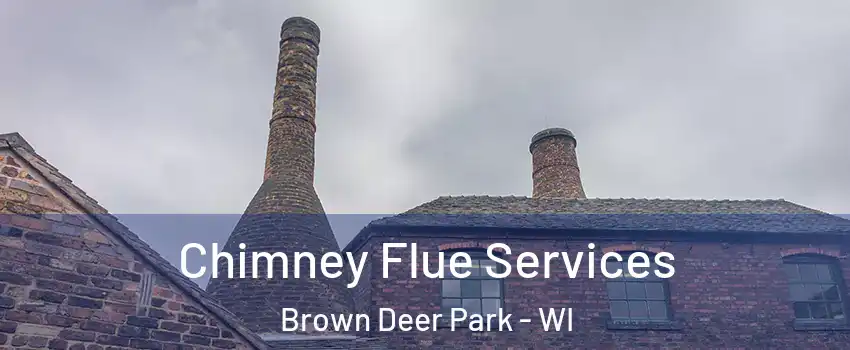 Chimney Flue Services Brown Deer Park - WI