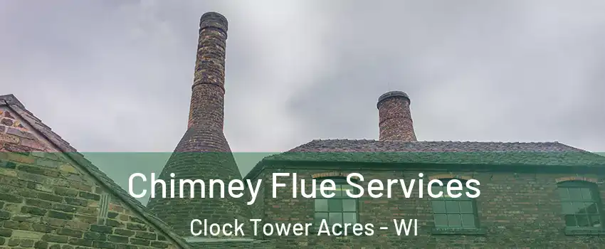 Chimney Flue Services Clock Tower Acres - WI