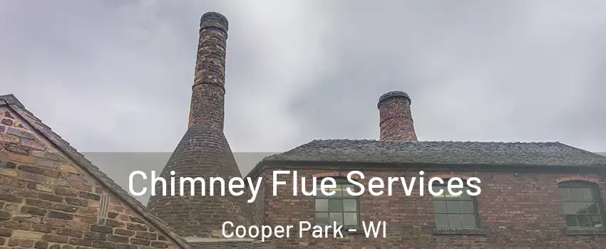 Chimney Flue Services Cooper Park - WI