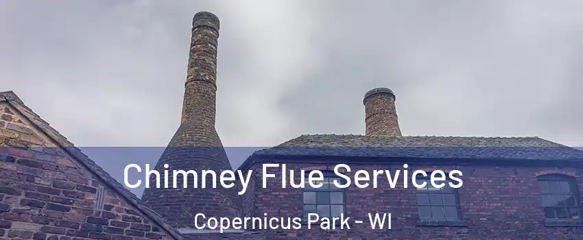 Chimney Flue Services Copernicus Park - WI