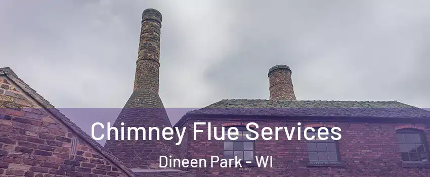 Chimney Flue Services Dineen Park - WI