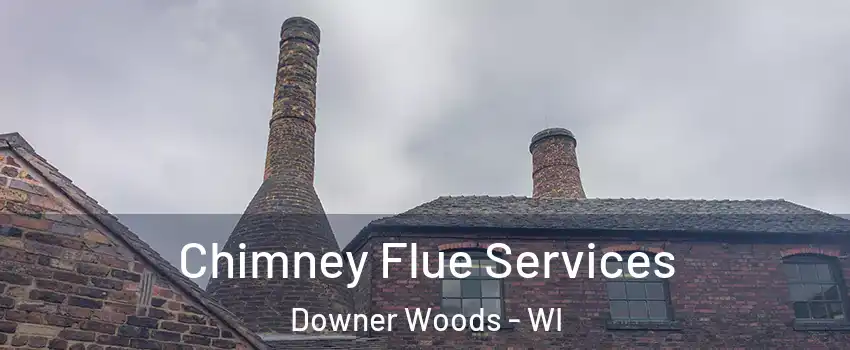 Chimney Flue Services Downer Woods - WI