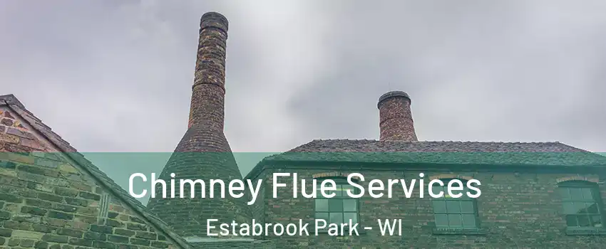 Chimney Flue Services Estabrook Park - WI