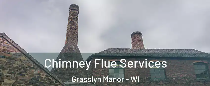 Chimney Flue Services Grasslyn Manor - WI