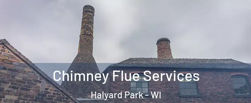 Chimney Flue Services Halyard Park - WI