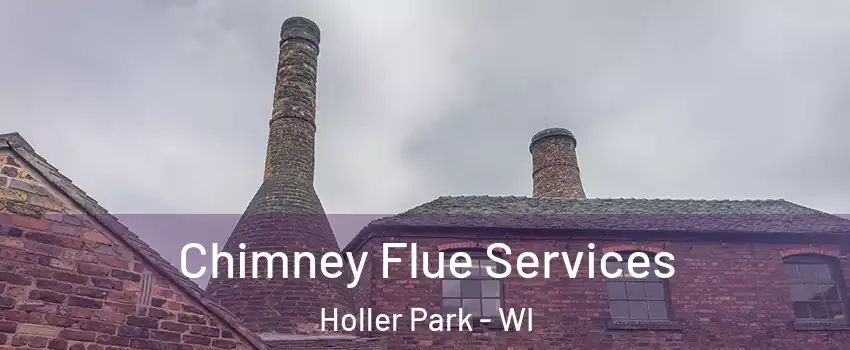 Chimney Flue Services Holler Park - WI