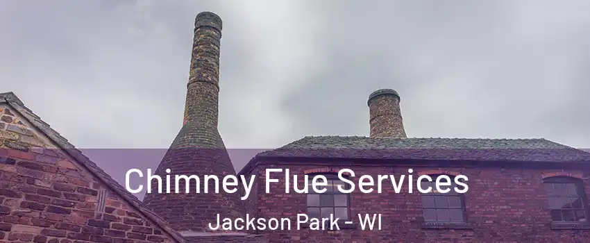 Chimney Flue Services Jackson Park - WI