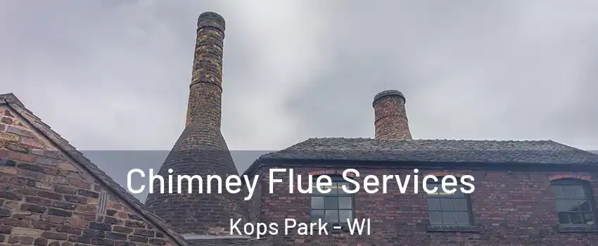 Chimney Flue Services Kops Park - WI