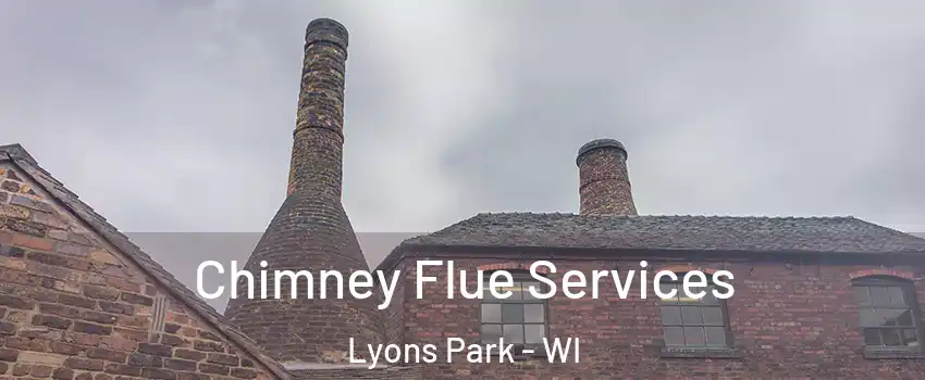 Chimney Flue Services Lyons Park - WI