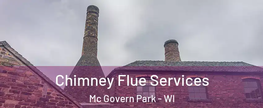 Chimney Flue Services Mc Govern Park - WI