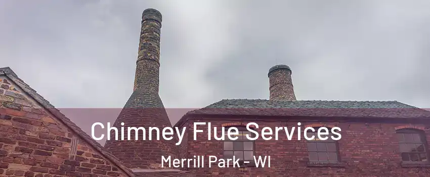 Chimney Flue Services Merrill Park - WI