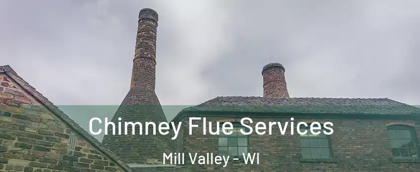 Chimney Flue Services Mill Valley - WI