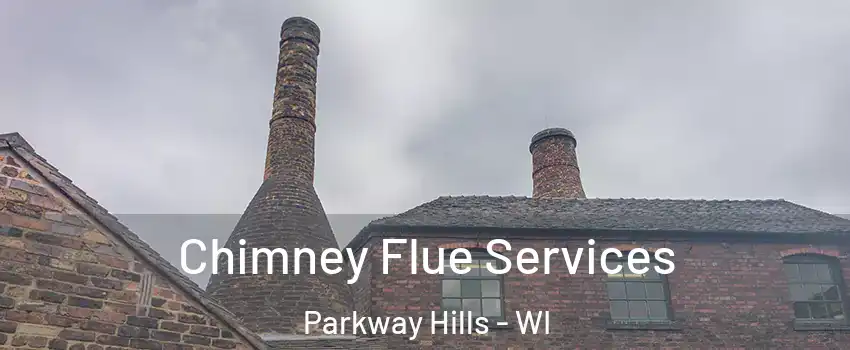 Chimney Flue Services Parkway Hills - WI