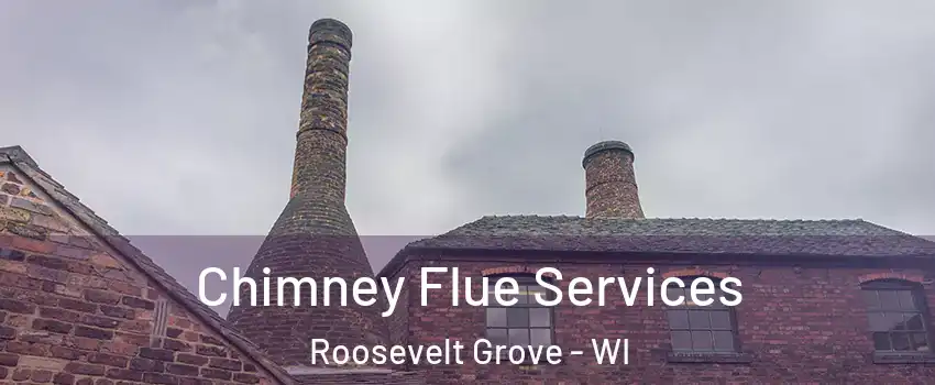 Chimney Flue Services Roosevelt Grove - WI