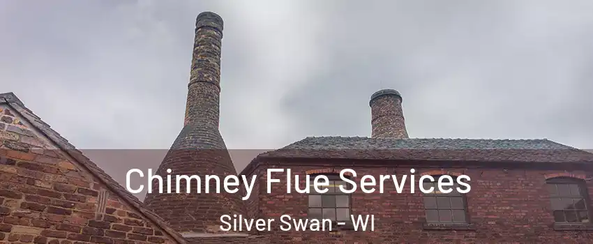 Chimney Flue Services Silver Swan - WI