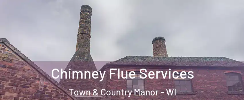 Chimney Flue Services Town & Country Manor - WI