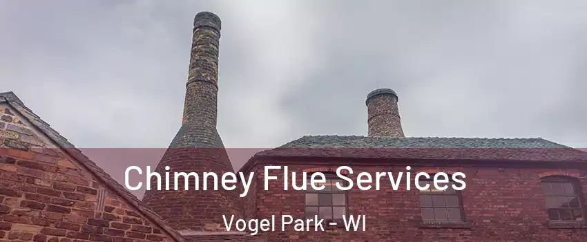 Chimney Flue Services Vogel Park - WI