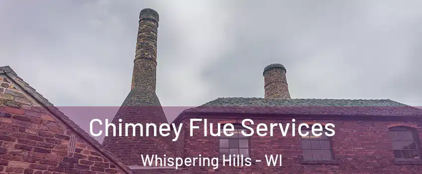 Chimney Flue Services Whispering Hills - WI