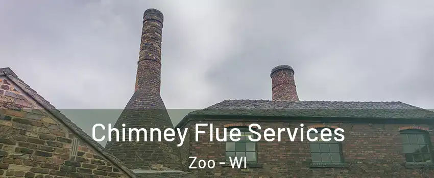 Chimney Flue Services Zoo - WI