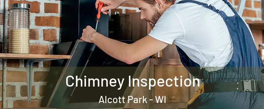 Chimney Inspection Alcott Park - WI