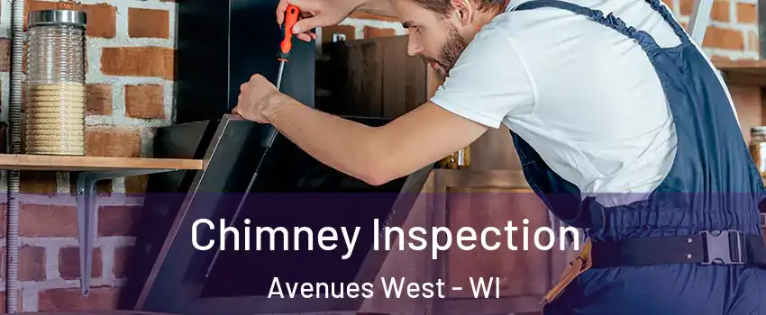 Chimney Inspection Avenues West - WI