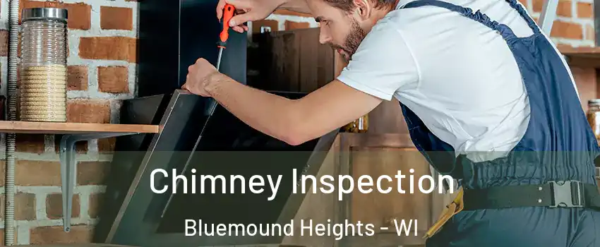 Chimney Inspection Bluemound Heights - WI