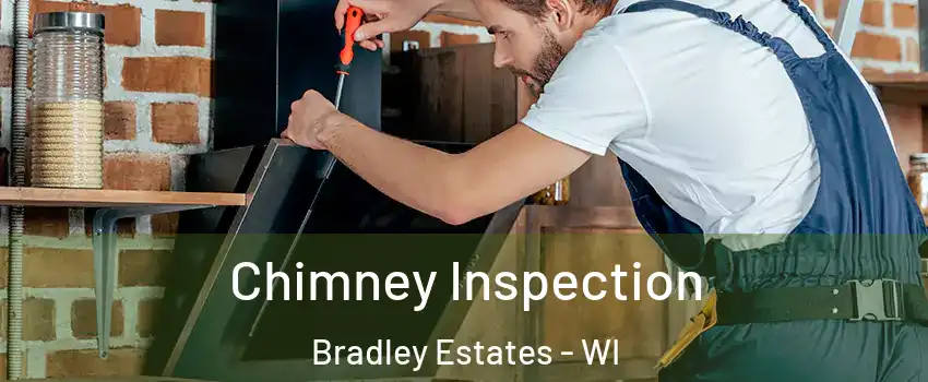 Chimney Inspection Bradley Estates - WI