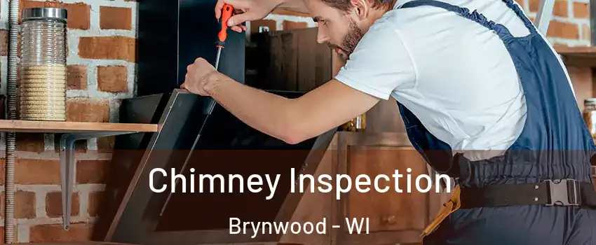 Chimney Inspection Brynwood - WI