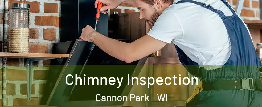 Chimney Inspection Cannon Park - WI