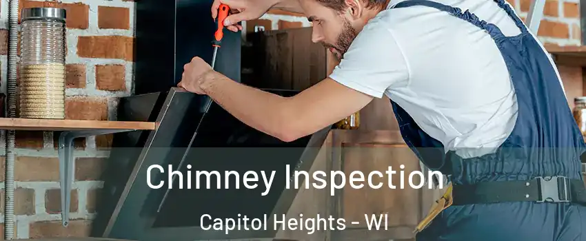 Chimney Inspection Capitol Heights - WI