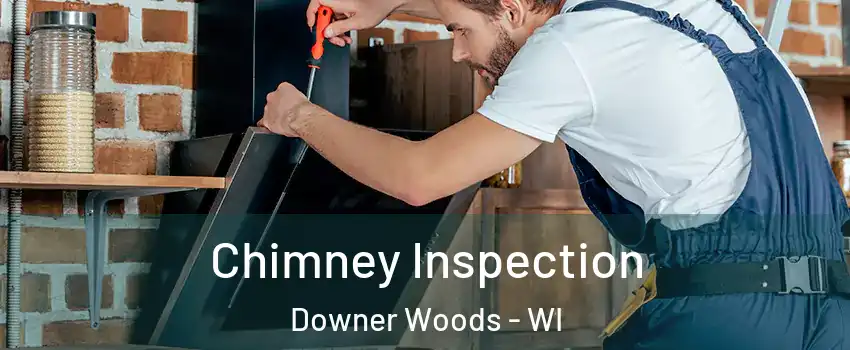 Chimney Inspection Downer Woods - WI