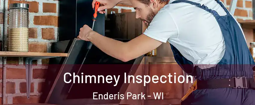 Chimney Inspection Enderis Park - WI