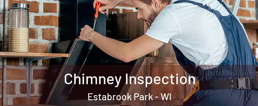 Chimney Inspection Estabrook Park - WI