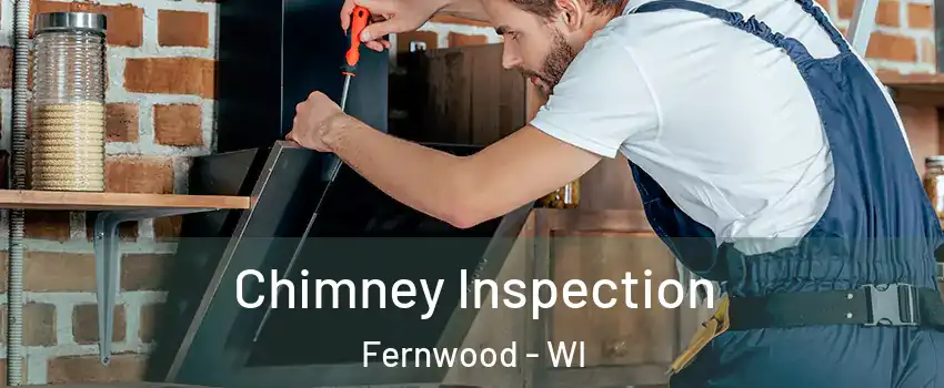 Chimney Inspection Fernwood - WI