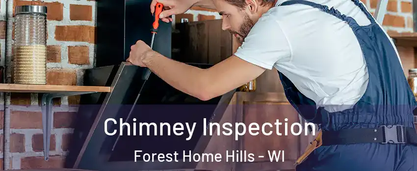 Chimney Inspection Forest Home Hills - WI