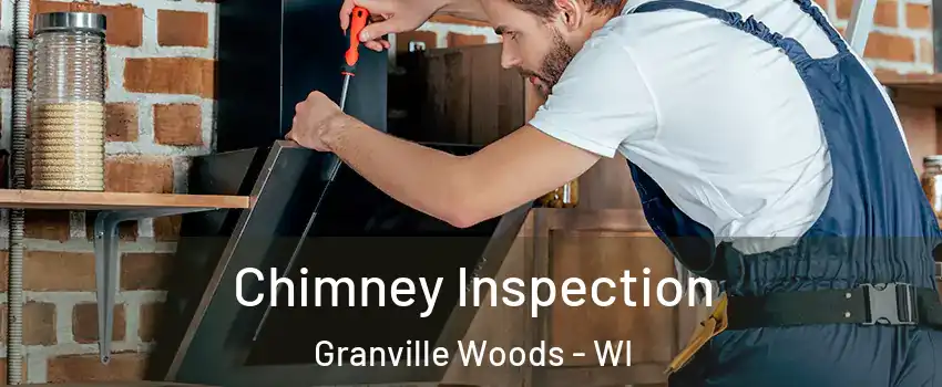 Chimney Inspection Granville Woods - WI