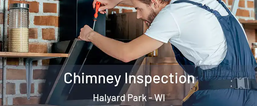 Chimney Inspection Halyard Park - WI