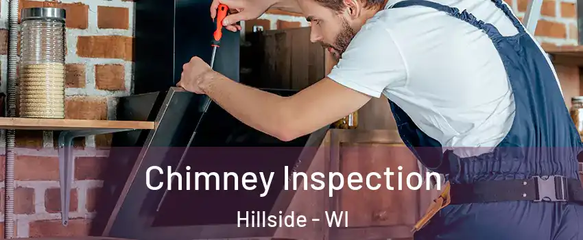 Chimney Inspection Hillside - WI