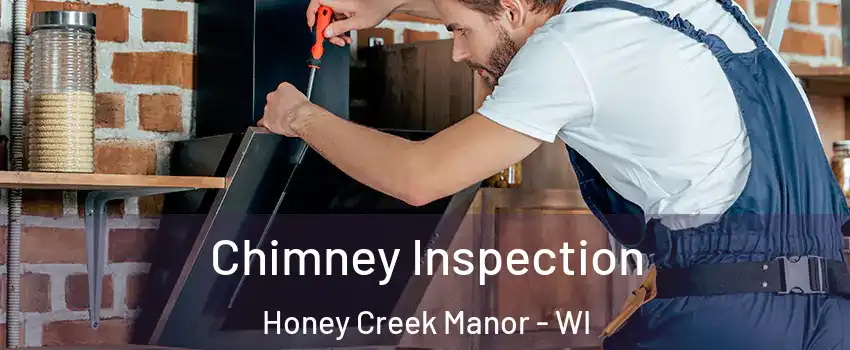 Chimney Inspection Honey Creek Manor - WI