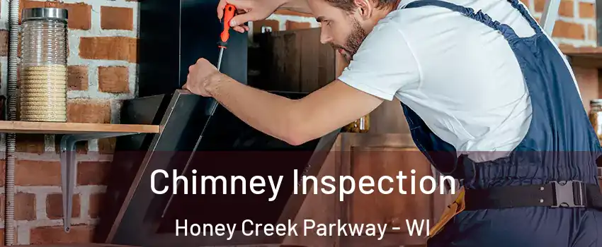 Chimney Inspection Honey Creek Parkway - WI