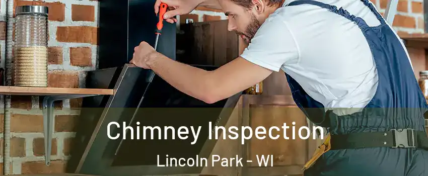 Chimney Inspection Lincoln Park - WI