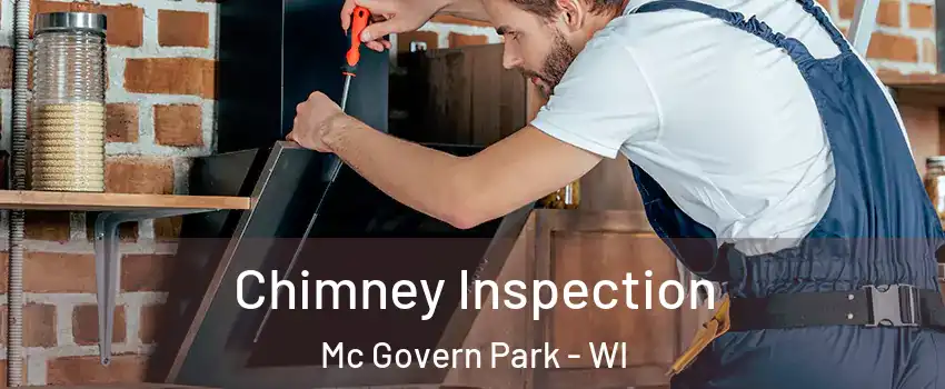 Chimney Inspection Mc Govern Park - WI