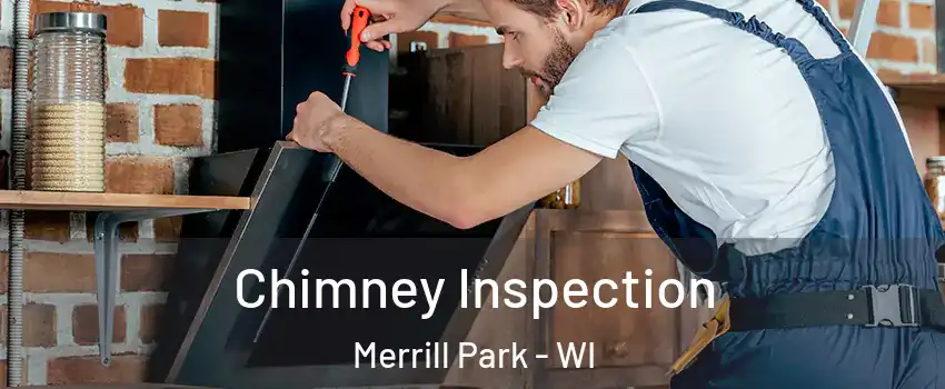 Chimney Inspection Merrill Park - WI