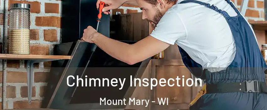 Chimney Inspection Mount Mary - WI