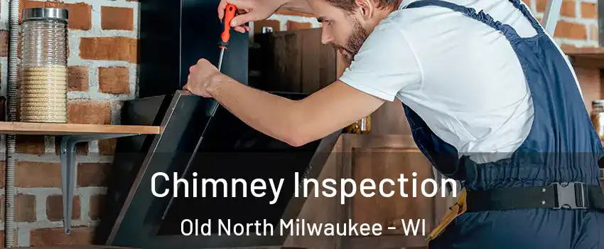 Chimney Inspection Old North Milwaukee - WI