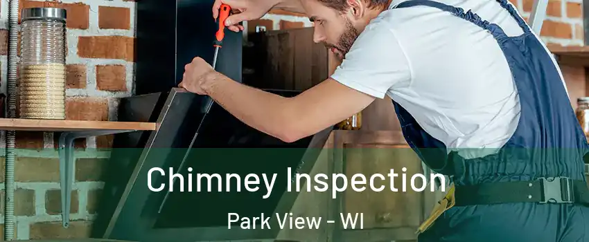 Chimney Inspection Park View - WI