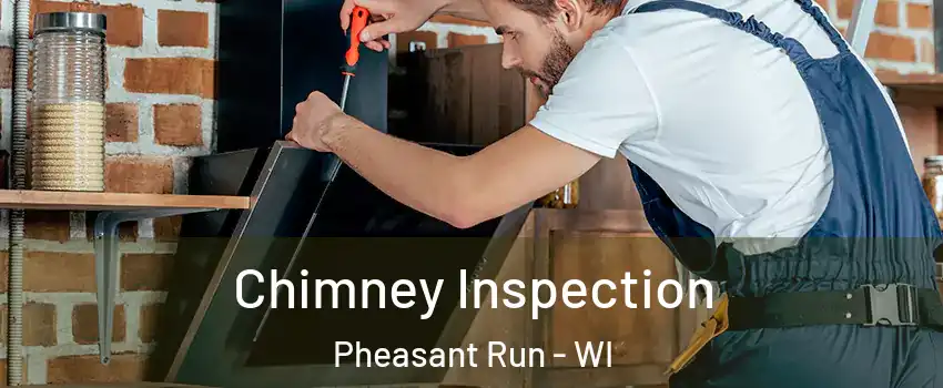 Chimney Inspection Pheasant Run - WI