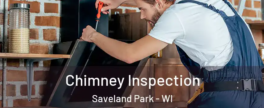 Chimney Inspection Saveland Park - WI